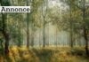 weekendophold i naturen