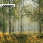 Den danske natur er gammeldags – på den fede måde weekendophold i naturen