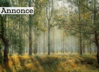weekendophold i naturen