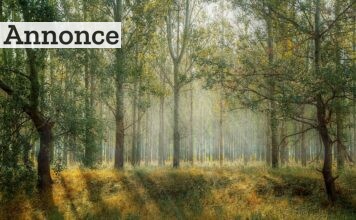 weekendophold i naturen