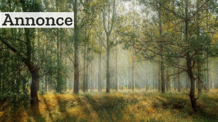 weekendophold i naturen