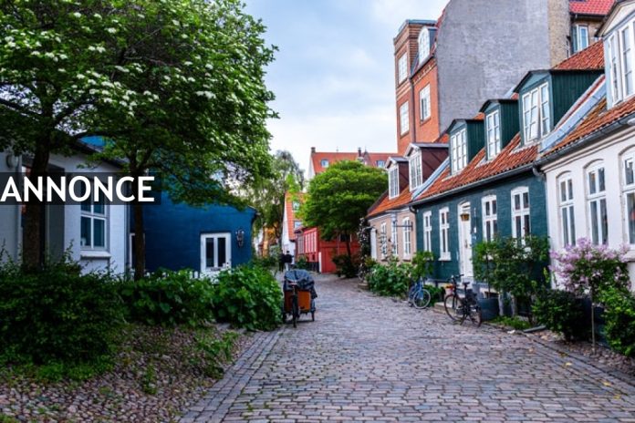 Aabenraa-laes-mere-her1_16518273290597