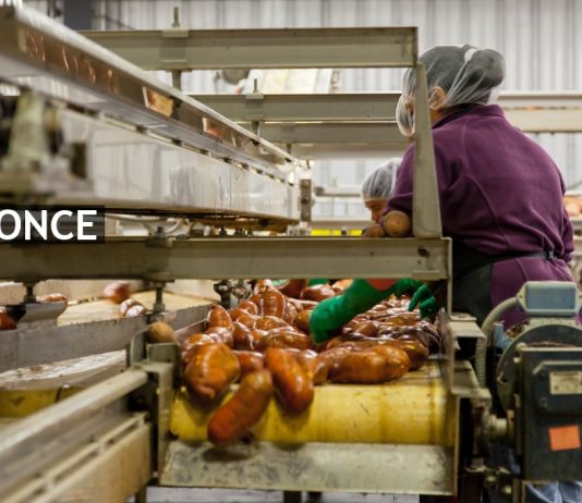 Fødevareindustrien: Optimering af maskiner og teknisk udstyr